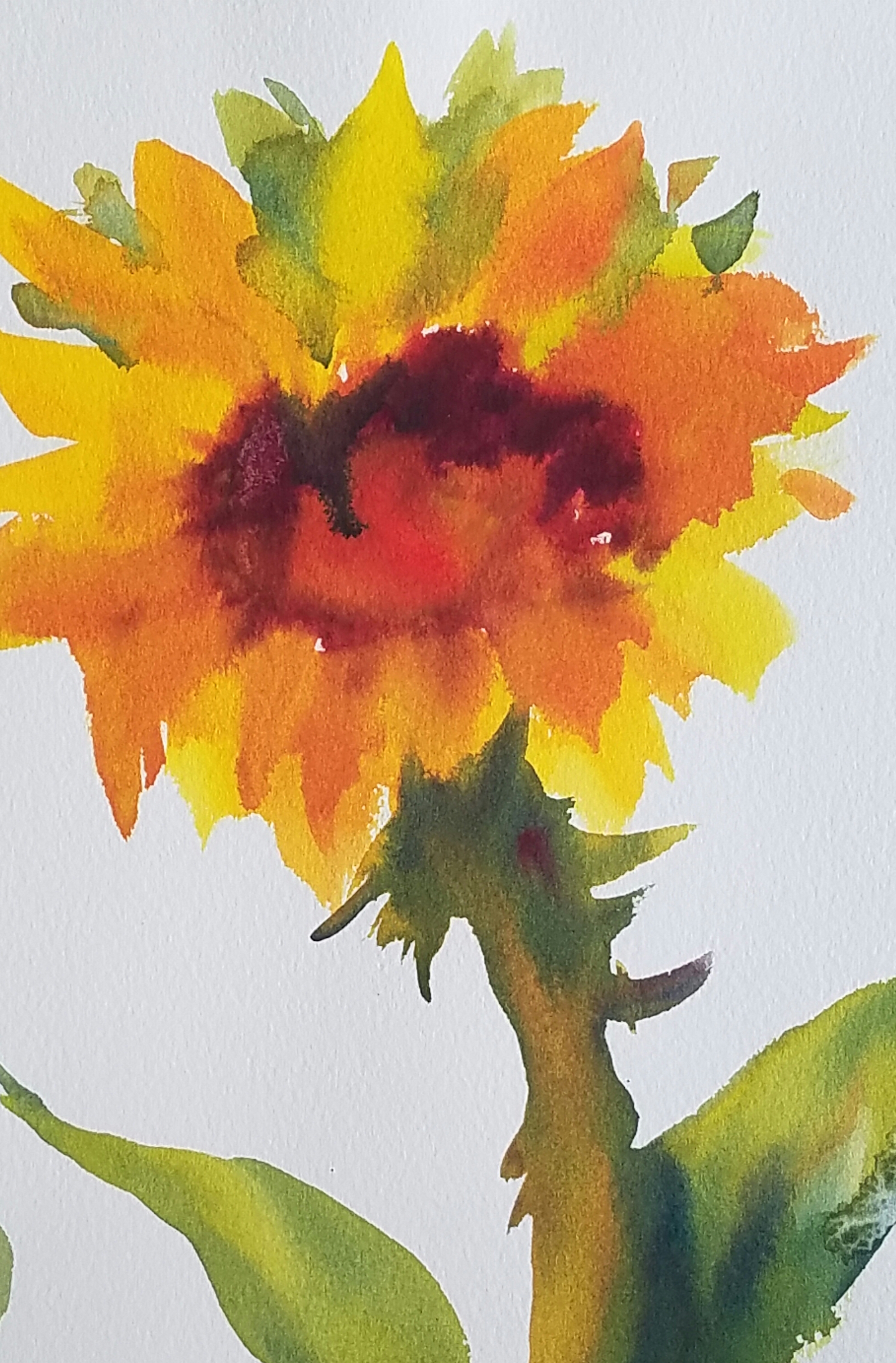 Pat Weaver's Sunflower