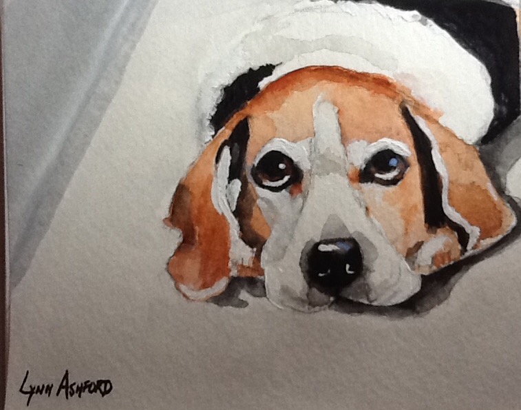 Lynn Ashford's Beagle