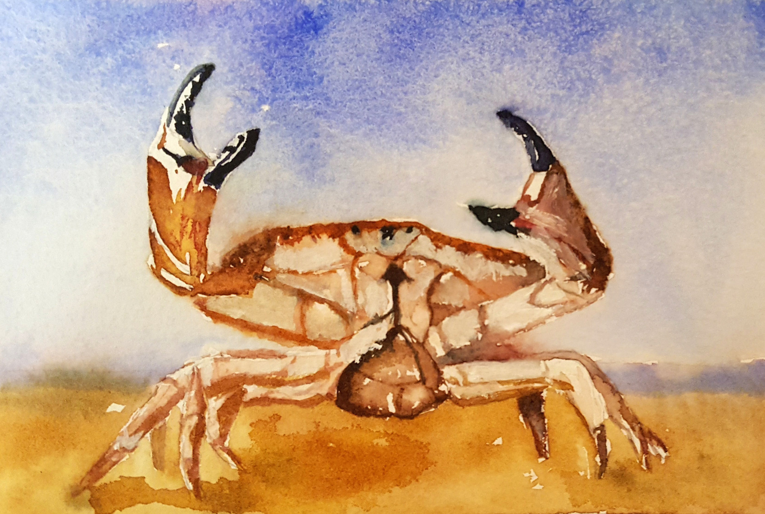 Heather Earnest's Crabbie