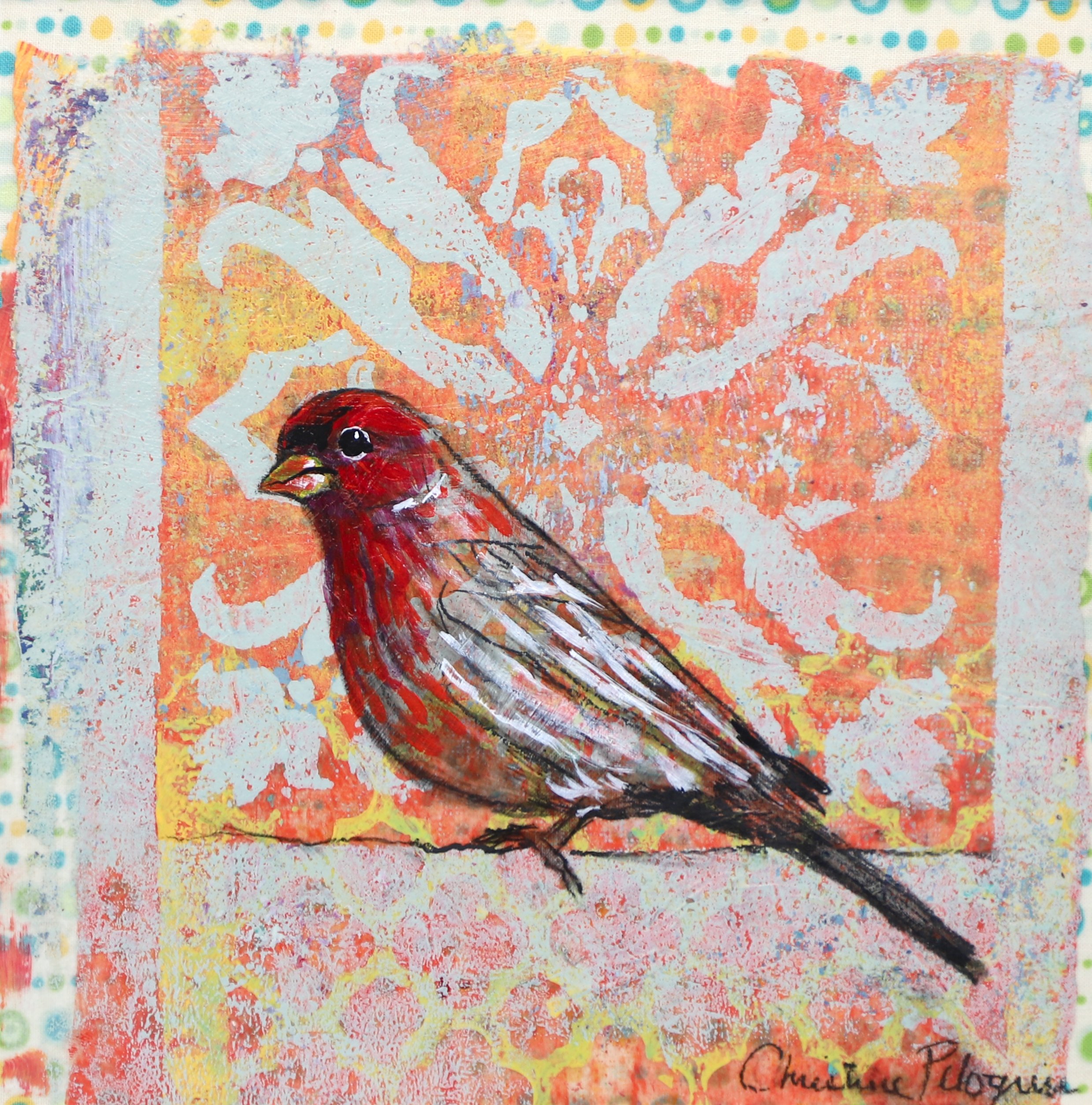 Florida Red Bird