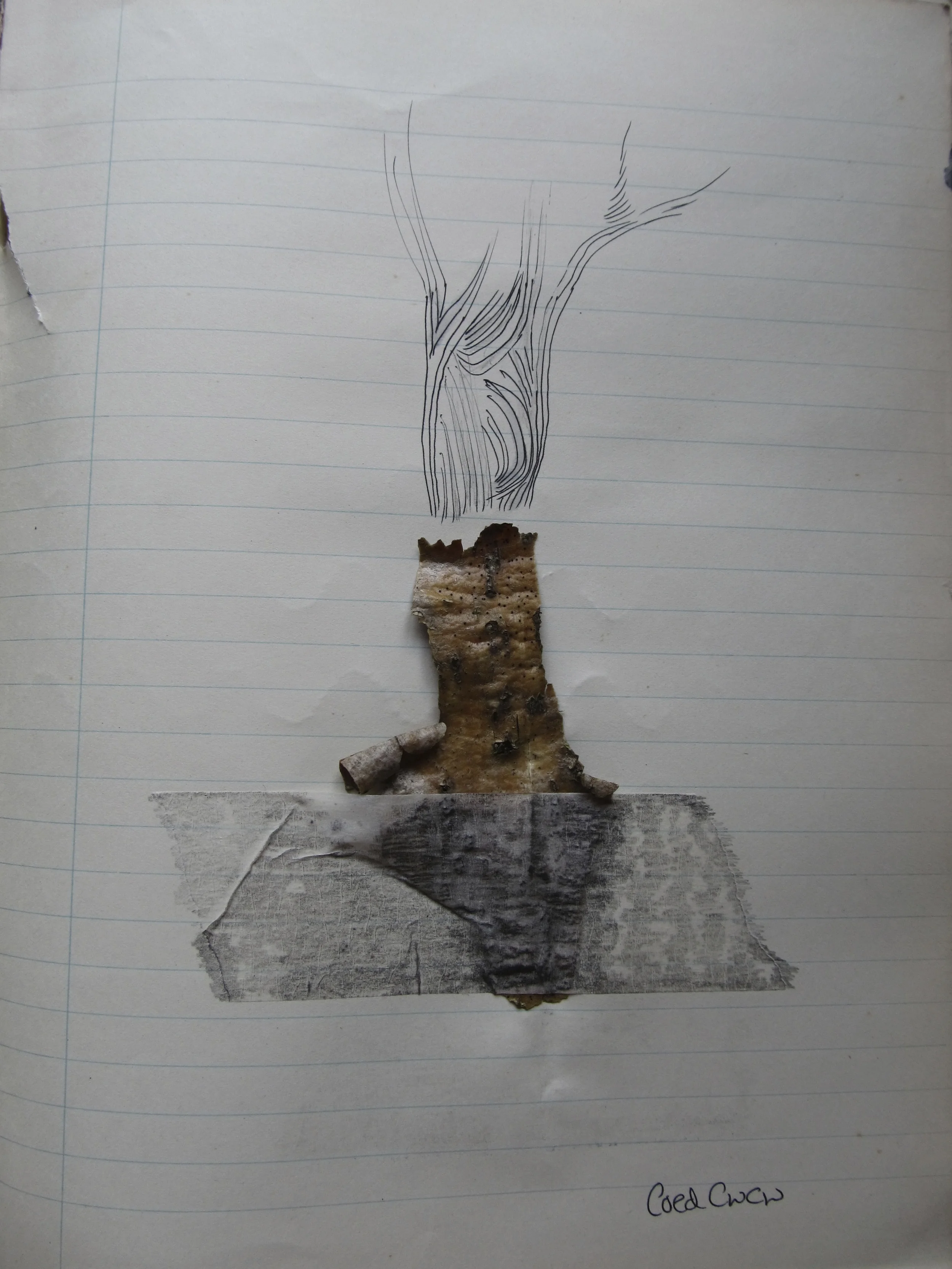 Cwcw Journal (extract)