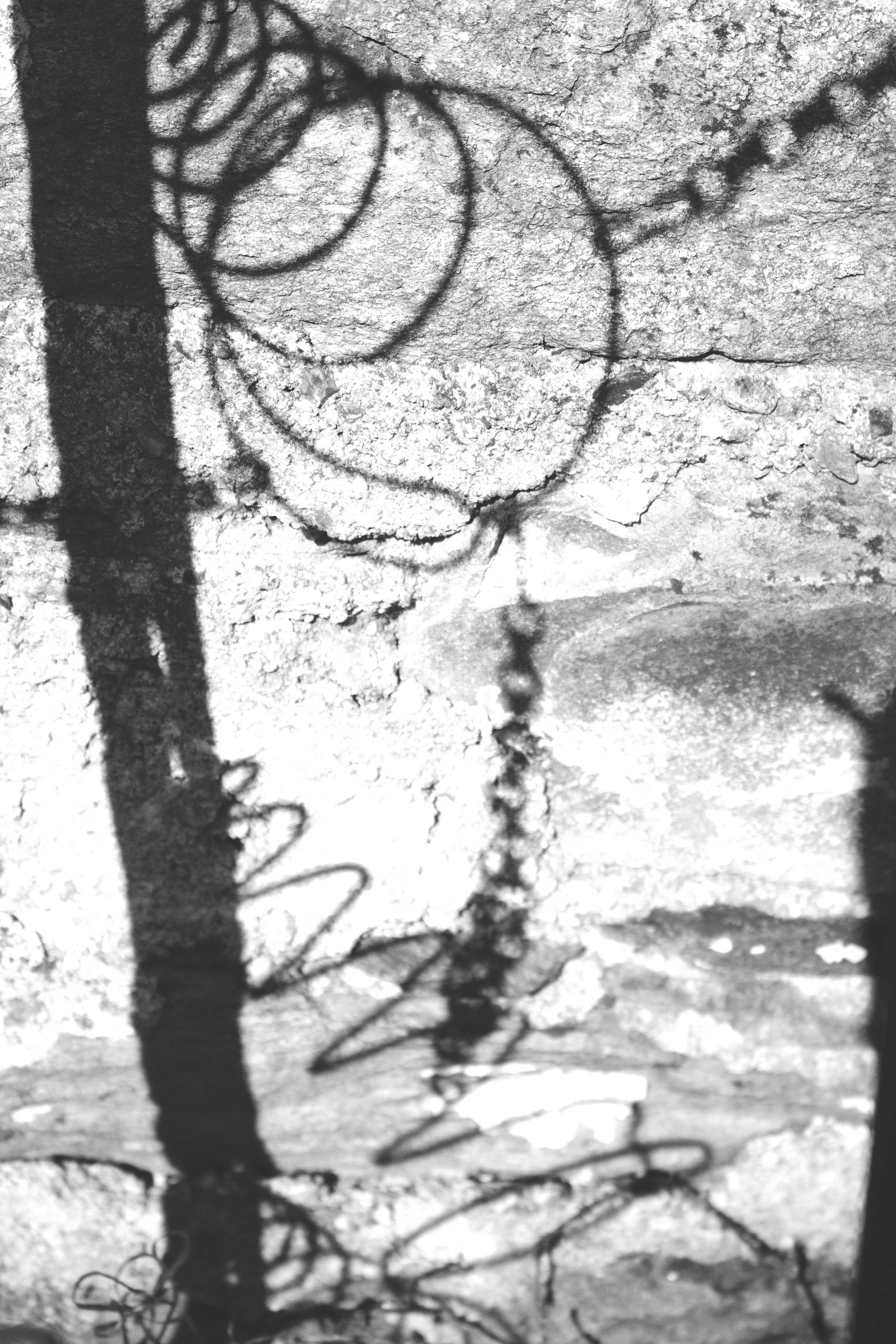 Spring Shadows