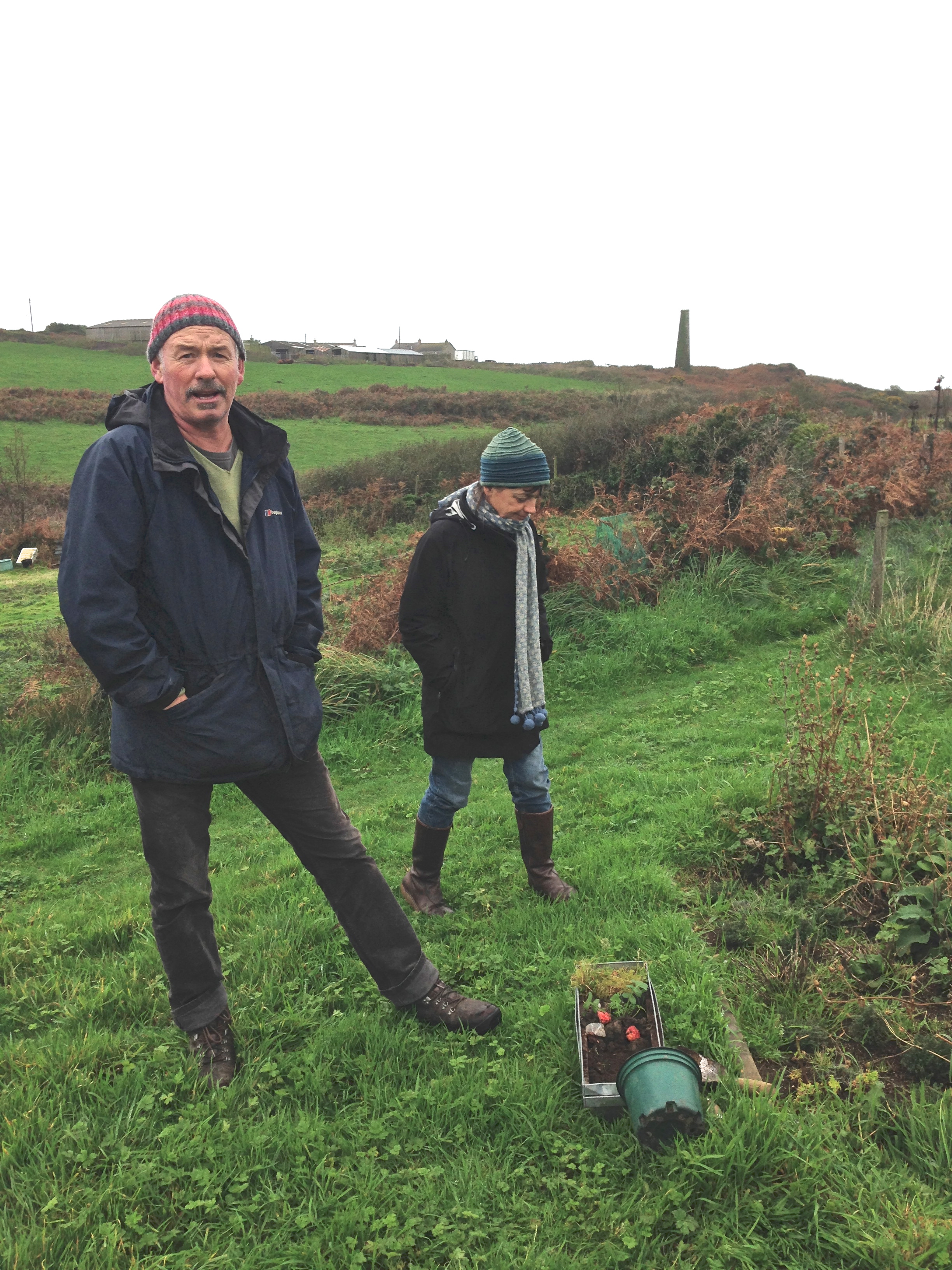 Brythonic Garden. Day 1.