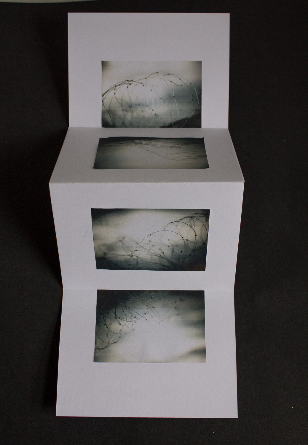 Wavenet:Anatomy of a Wave (series of photos and photobooks)