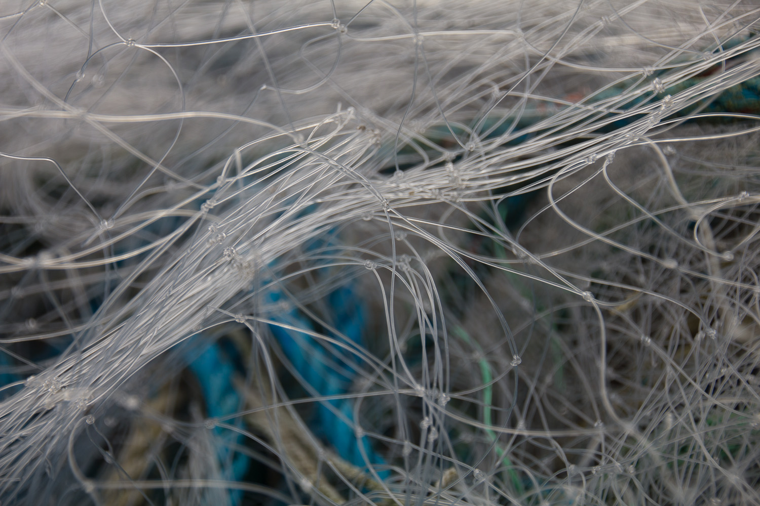 Am I Drawn To These Nets Because They Remind Me Of The Sea And The Flow Of All Things Or Is It Vice Versa? (Series of photos)