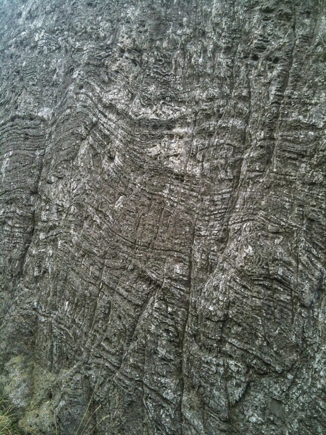 Fertility, Climate Change, Exhibitions and Roman Paintings — Lindsey ...