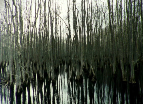 Essay Film by Deborah Stratman