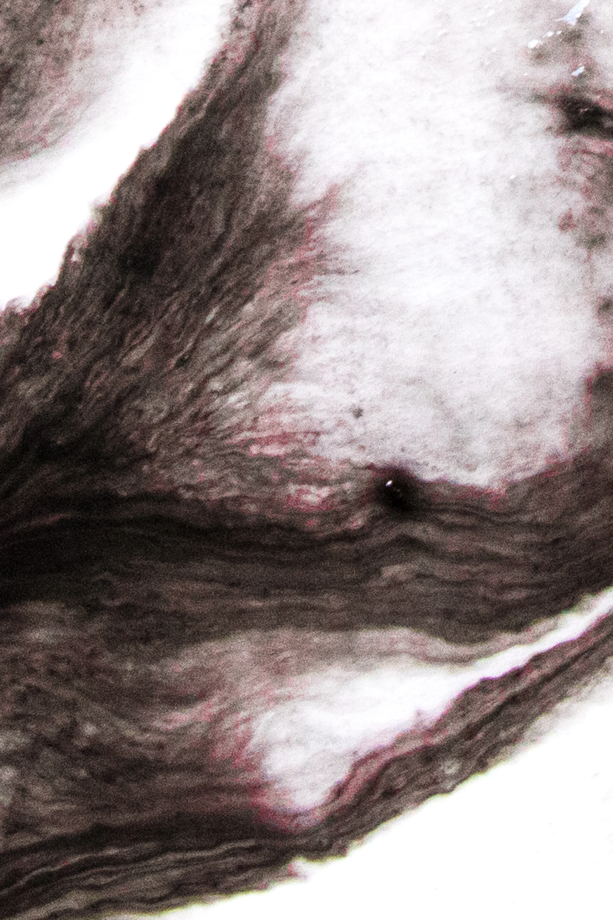 Llinellau Llif close ups (10 of 11).jpg