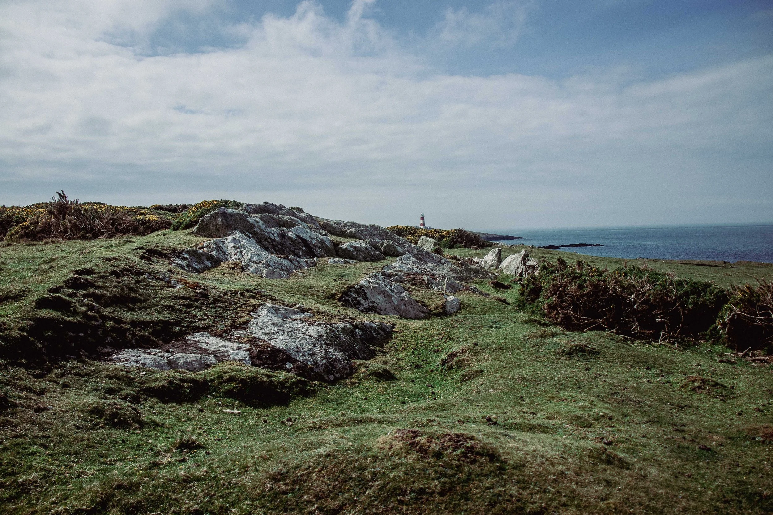 Tirwedd Enlli landscape-13.jpg