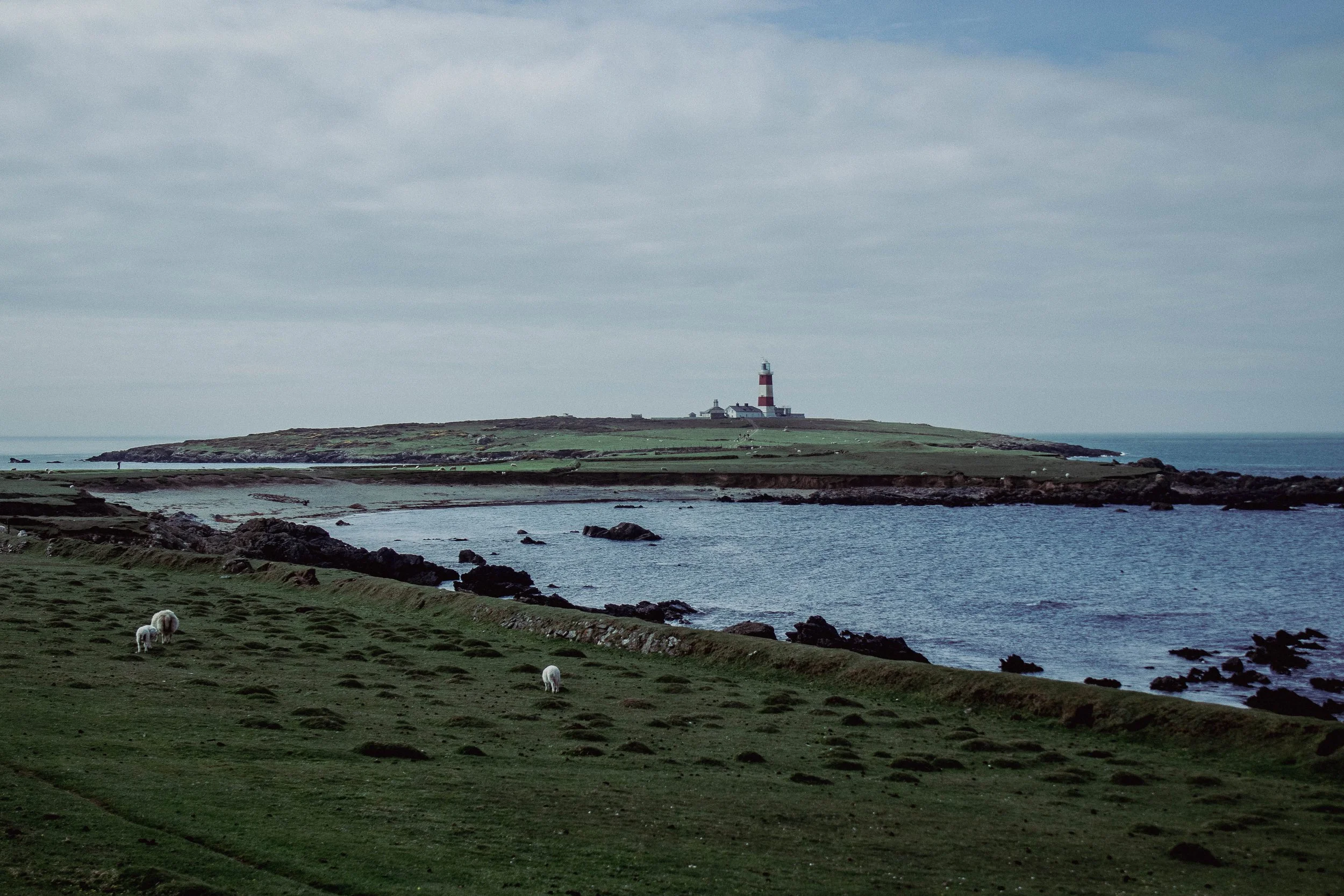 Tirwedd Enlli landscape-14.jpg