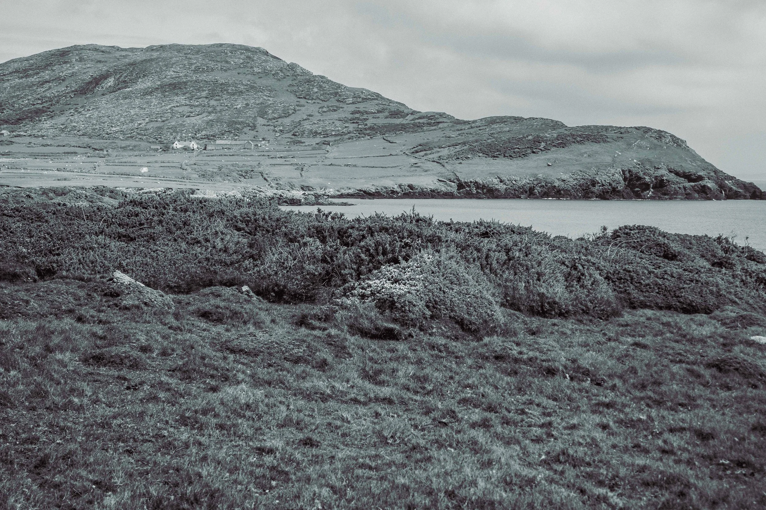 Cae Gwrachod-6.jpg