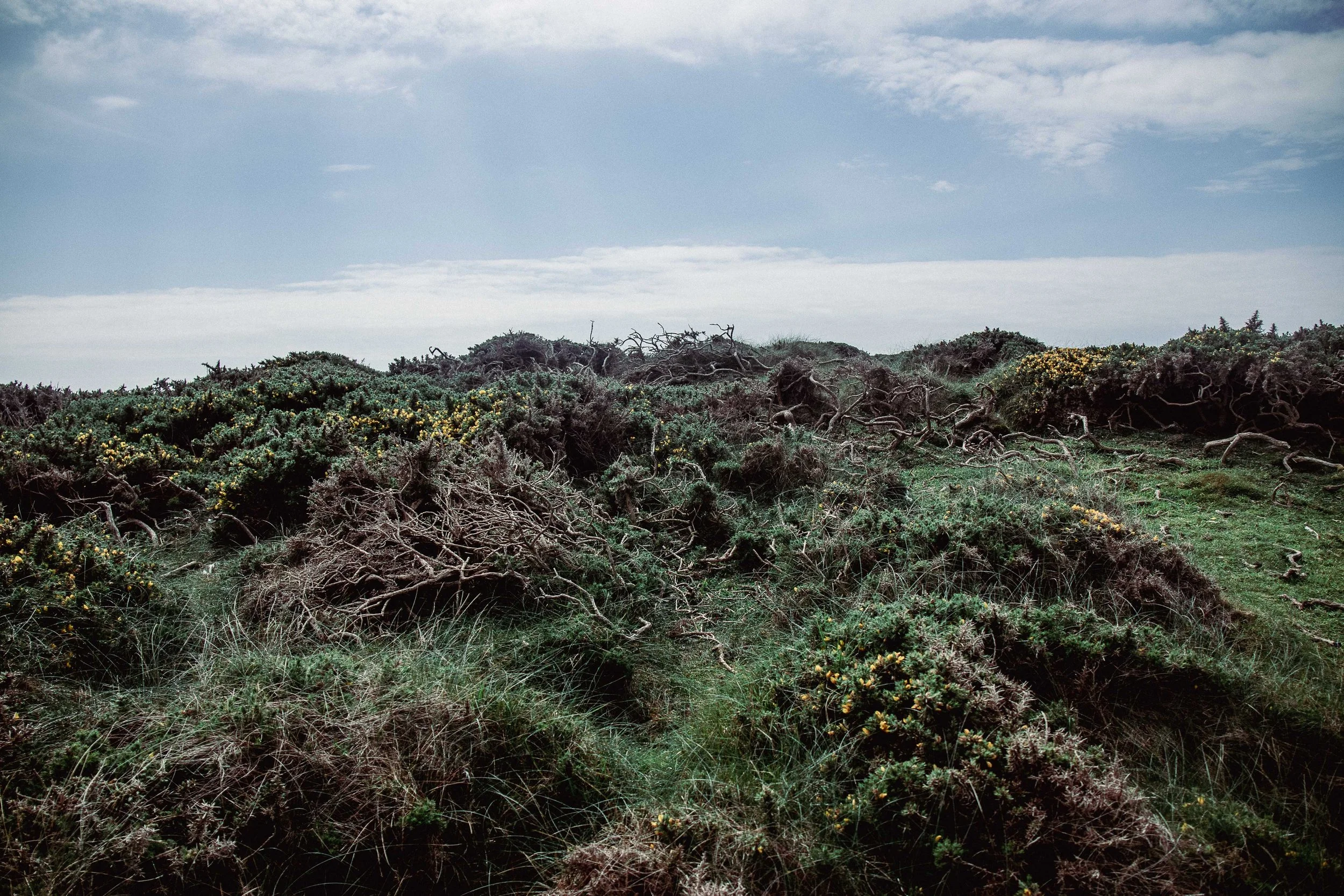 Cae Gwrachod-8.jpg