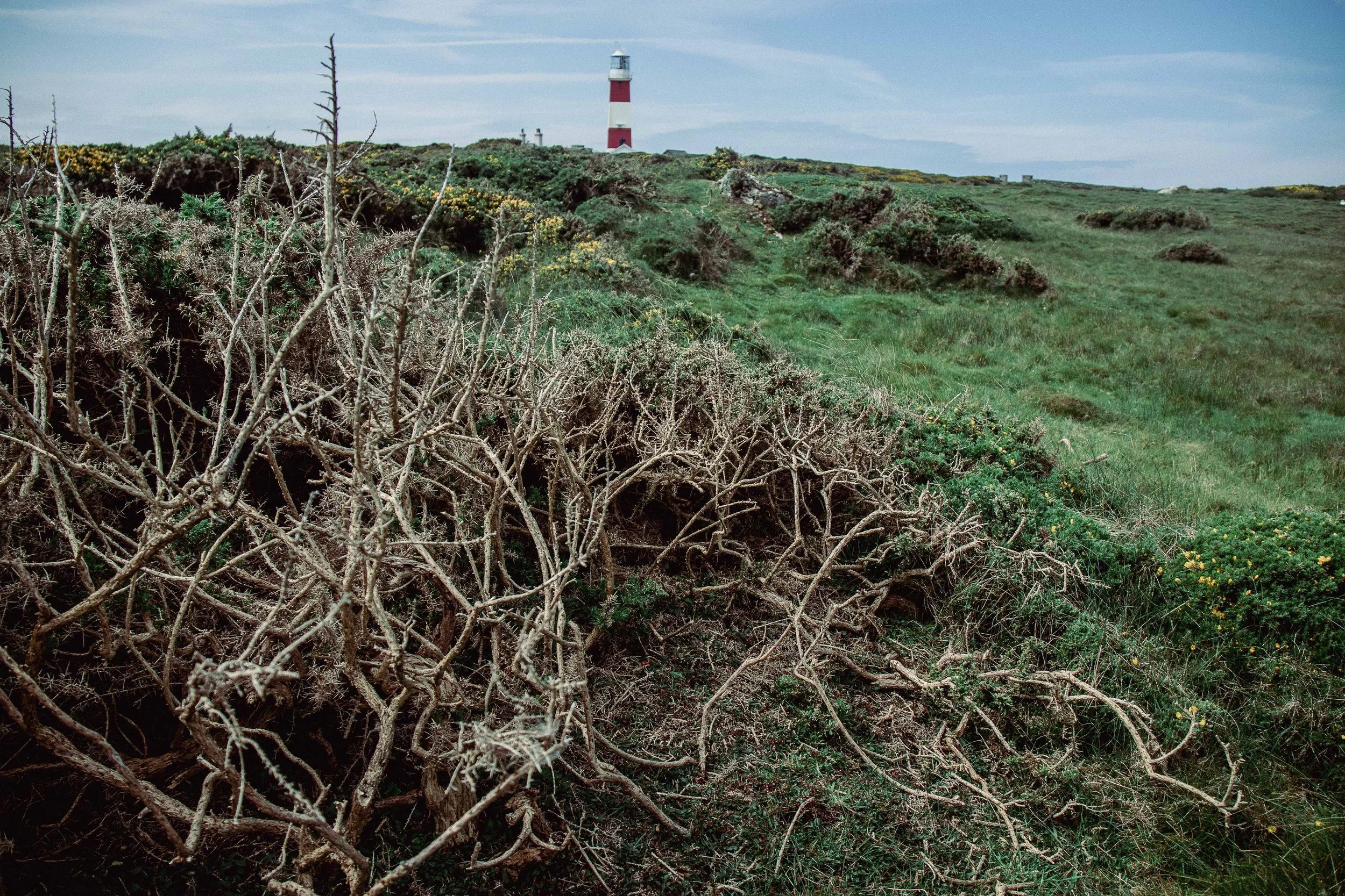 Cae Gwrachod-9.jpg