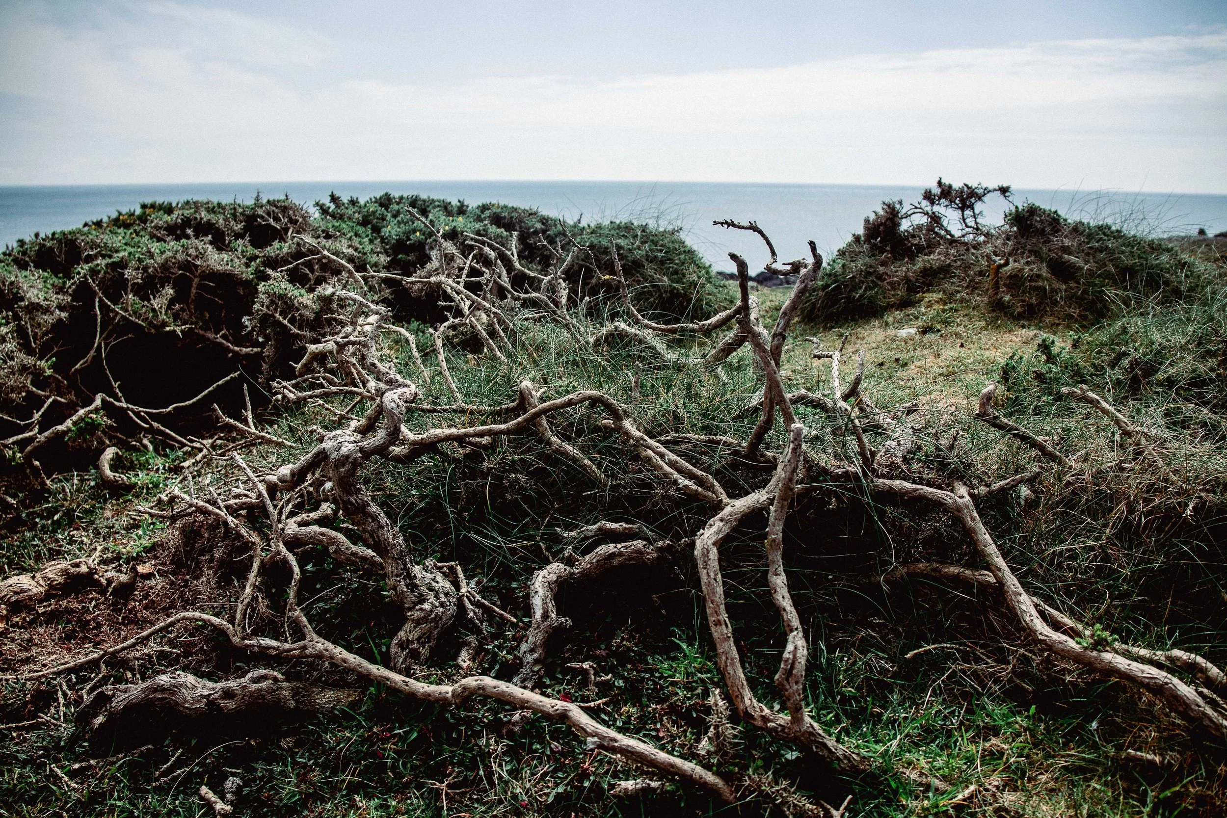 Cae Gwrachod-10.jpg