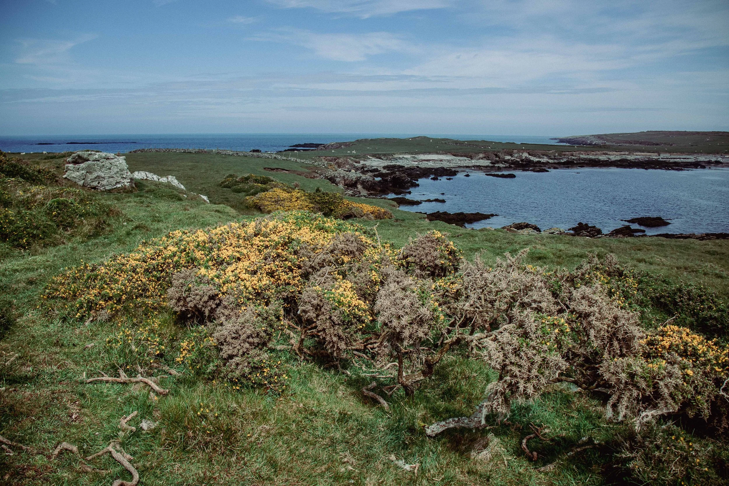 Cae Gwrachod-11.jpg