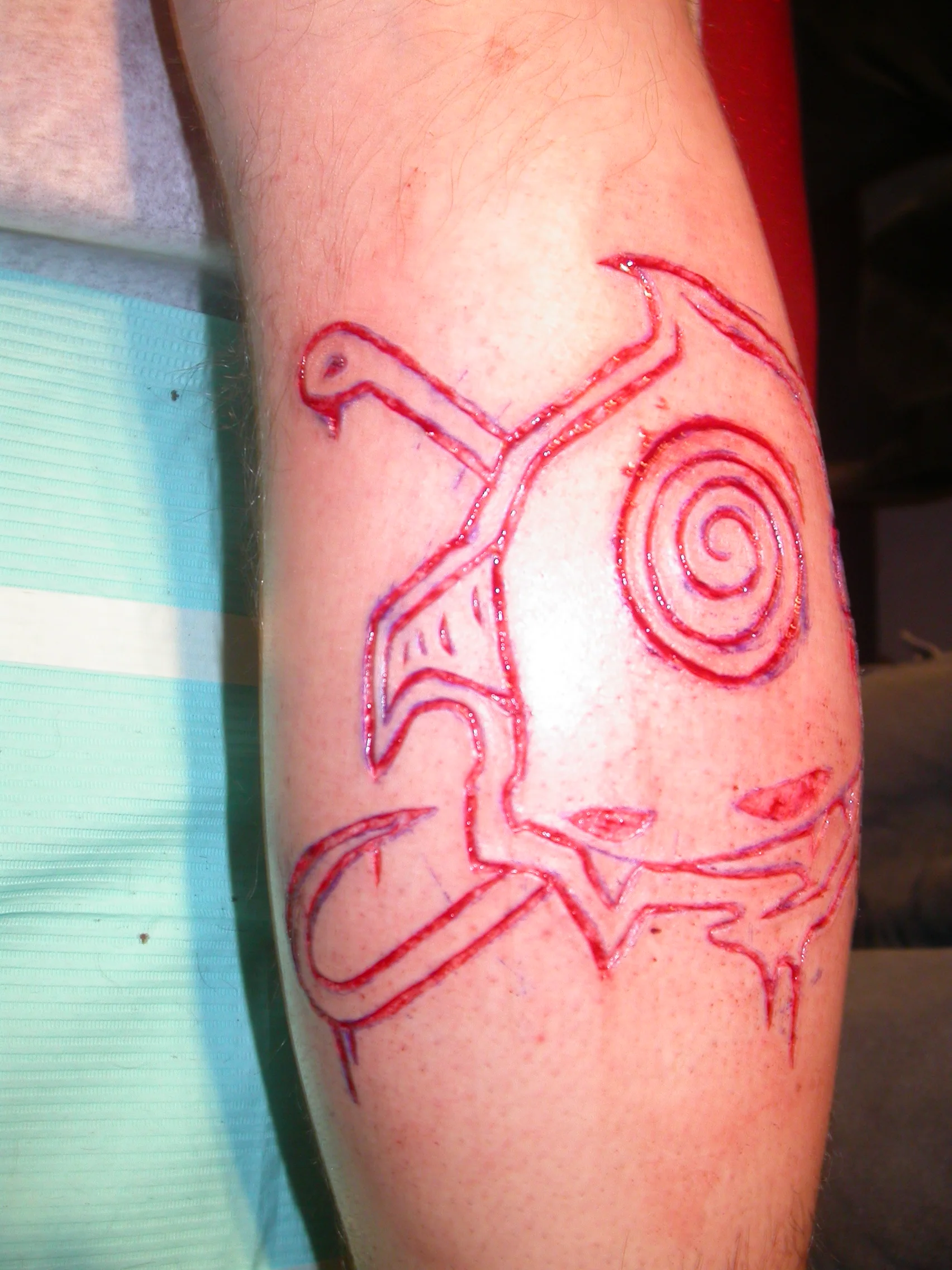 DSCN5555.JPG