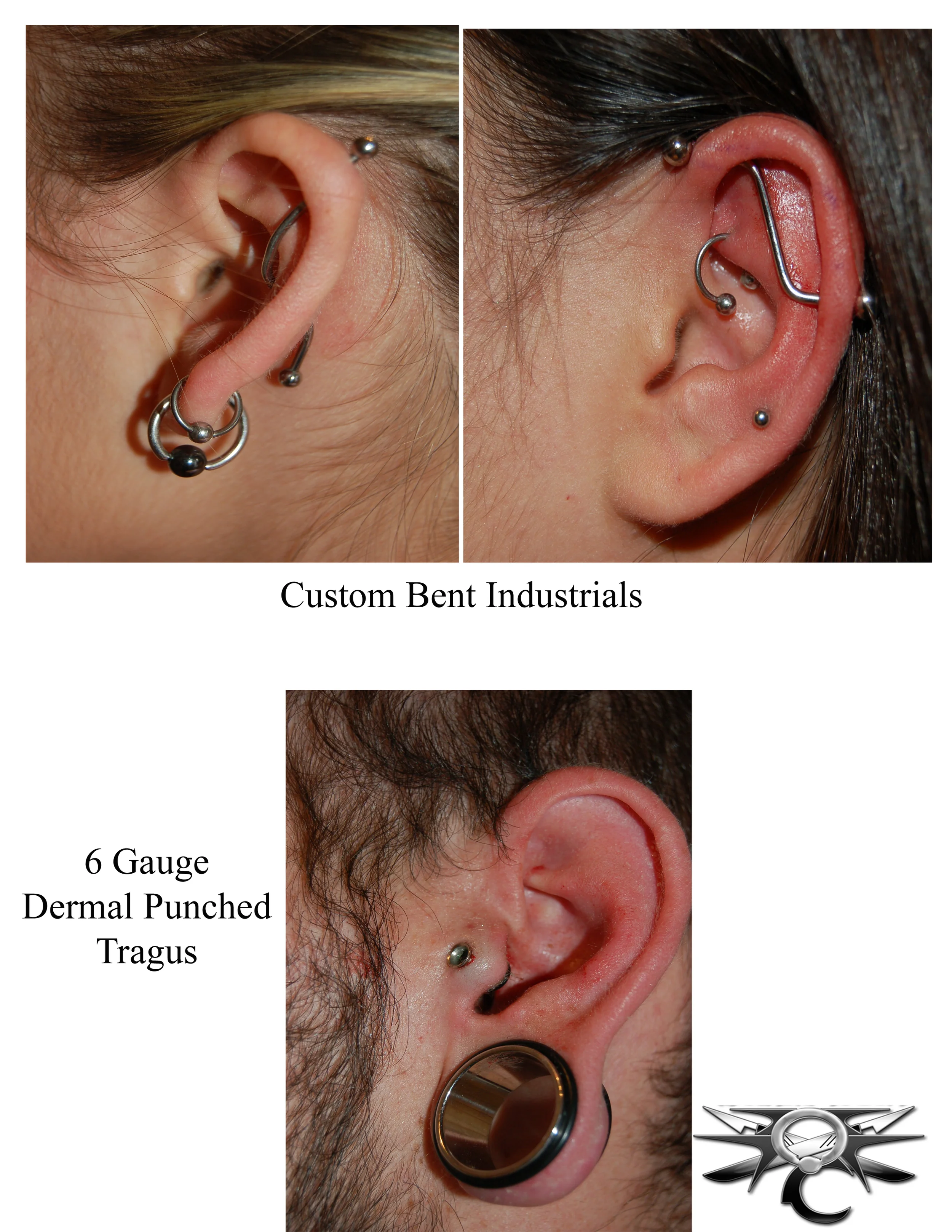 earprojects1.jpg