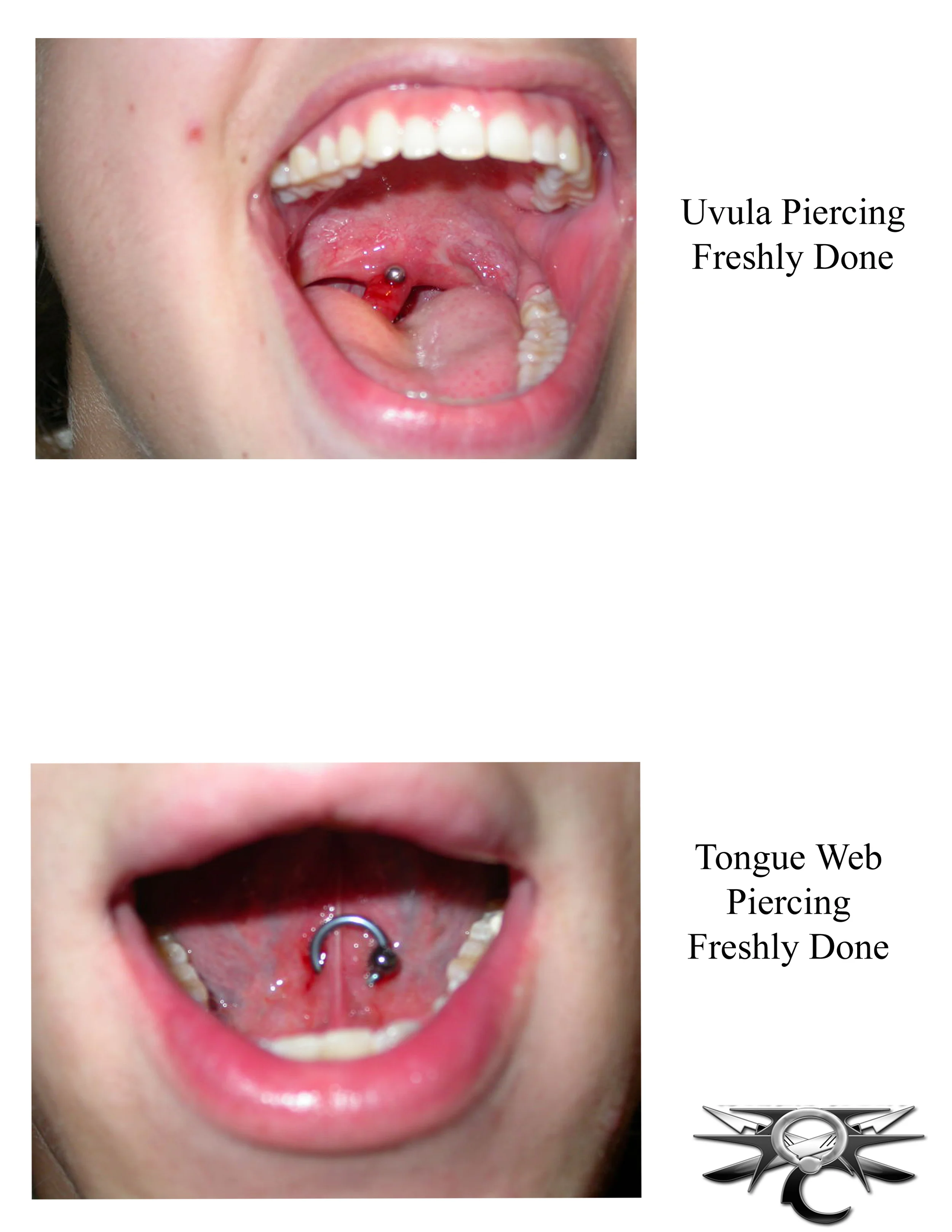 oral1.jpg