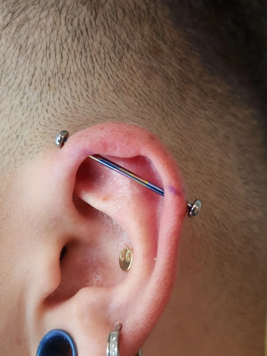 Resized_20220921_161424 2.jpeg