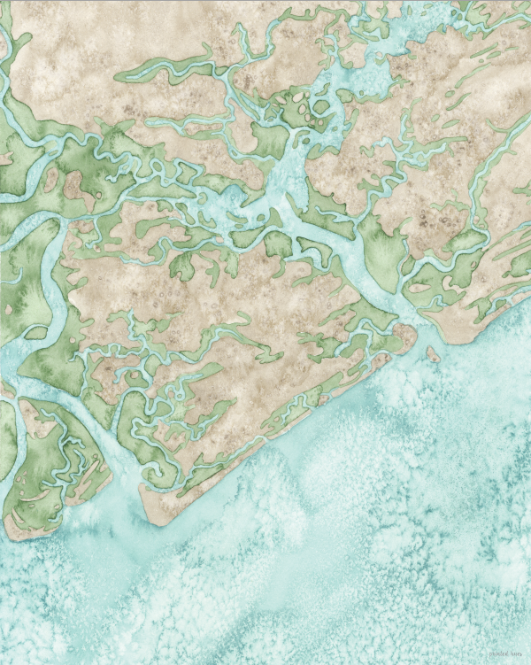 Screen Shot Edisto.png