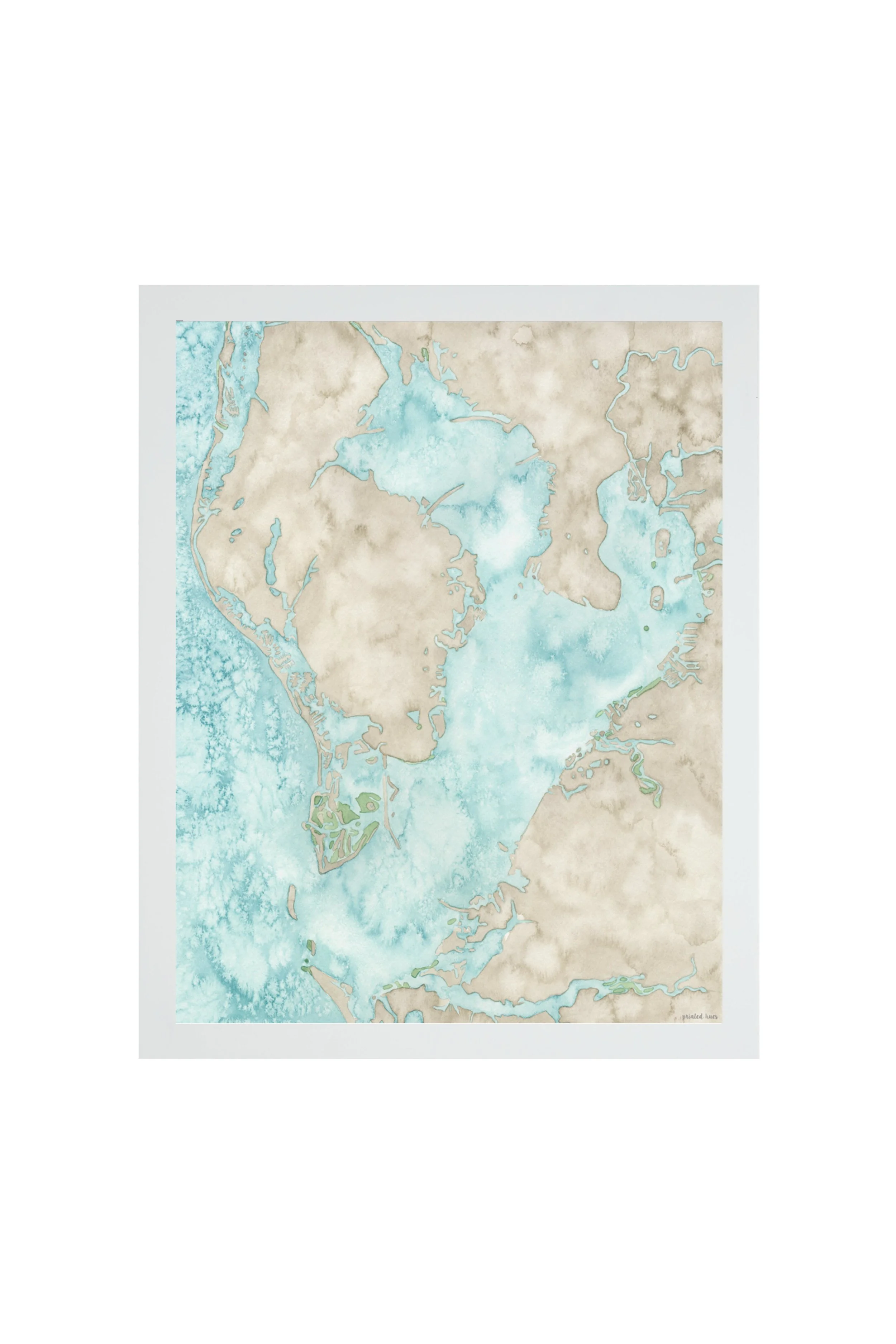 WhiteFrame-TampaBay-East.jpg