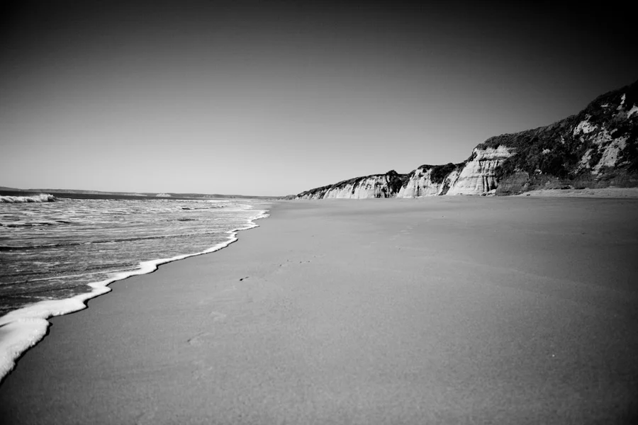 pointreyes_4.jpg