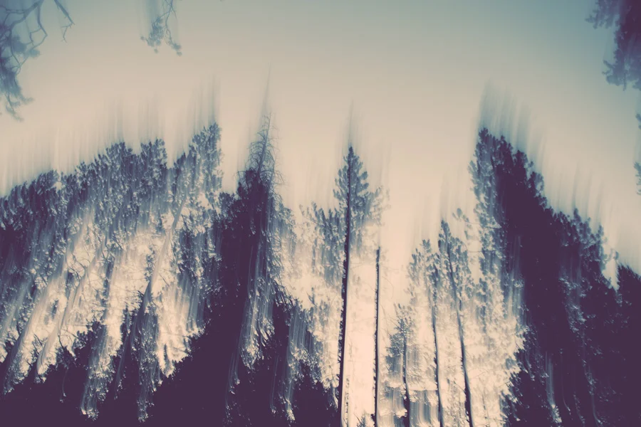yosemite_web13.jpg