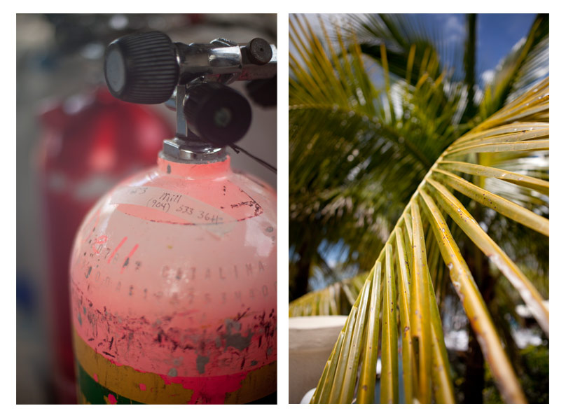 flkeys_7.jpg