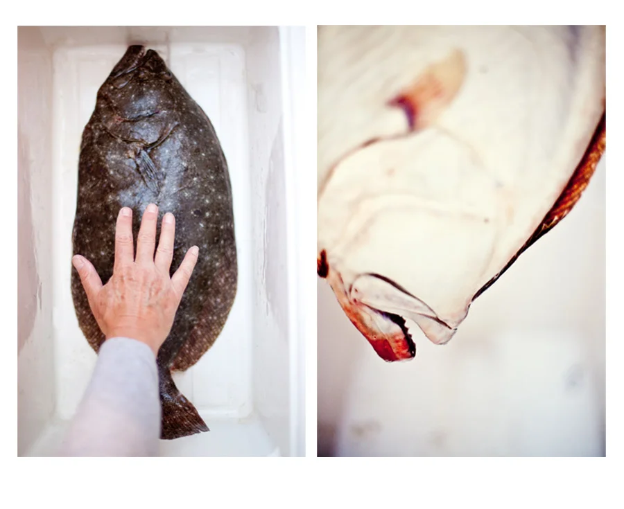 flounder.jpg