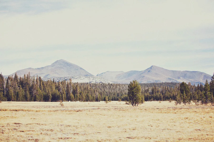 courtneymichalik_tuolumne_01.jpg