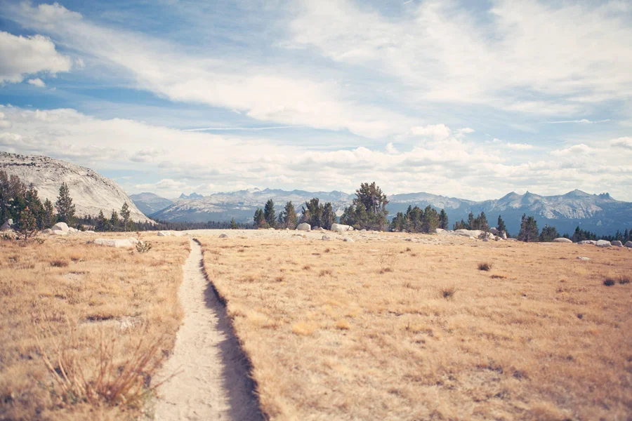 courtneymichalik_tuolumne_08.jpg
