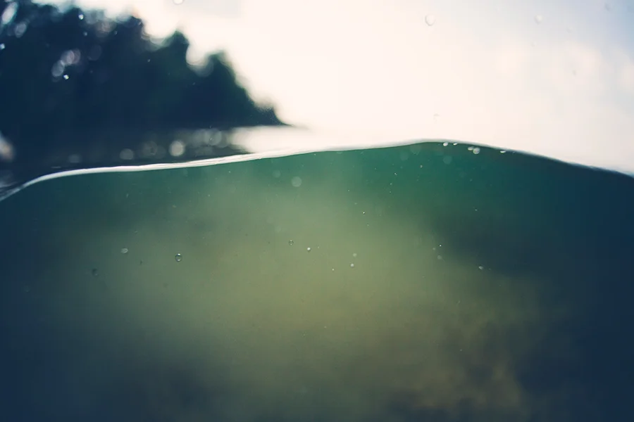 munderwater07-courtneymichalik.jpg
