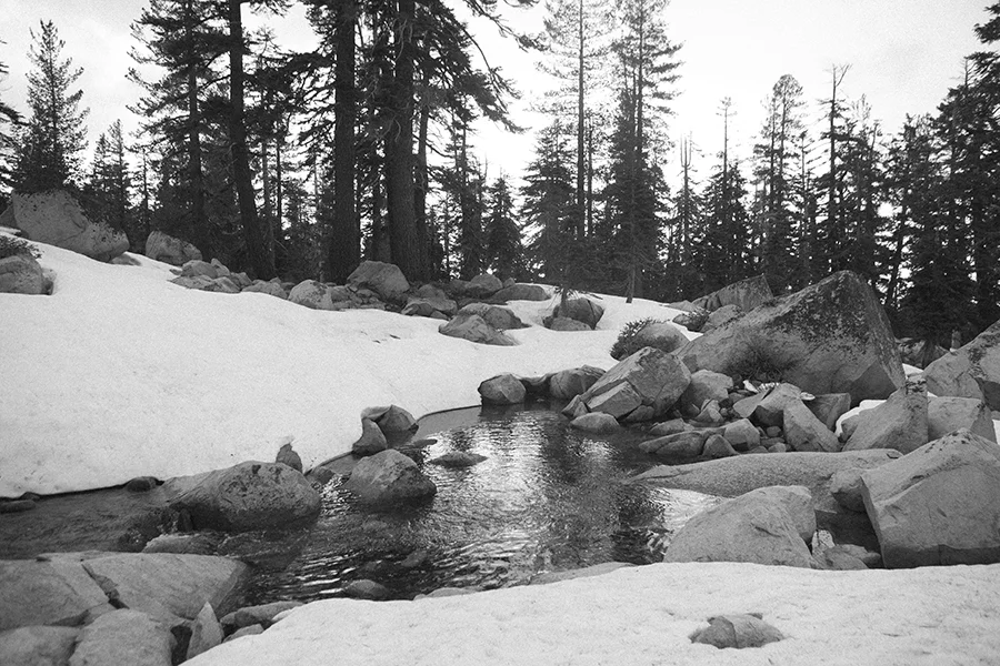 Yosemite-CourtneyMichalik_010.jpg