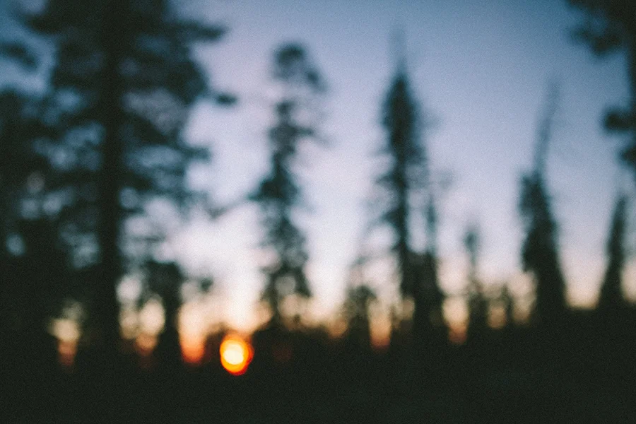 Yosemite-CourtneyMichalik_016.jpg