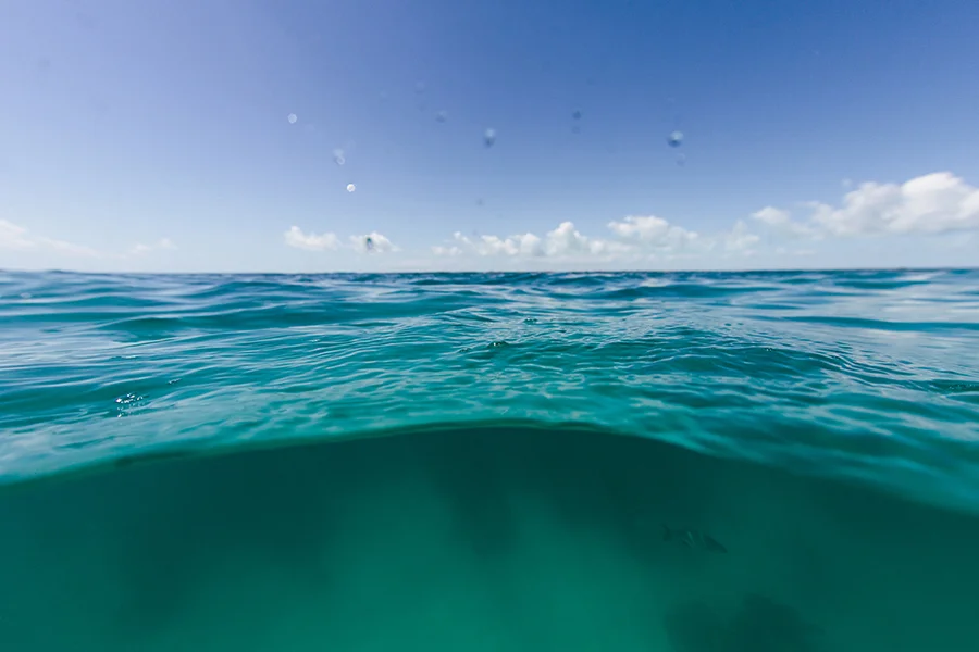 thecompasspointshere-flkeys_001.jpg