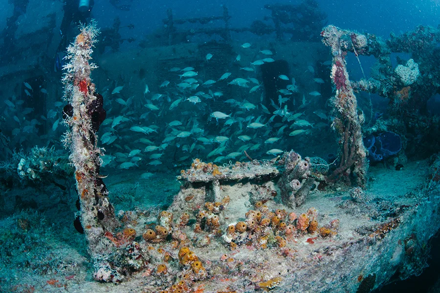 thecompasspointshere-flkeys_011.jpg