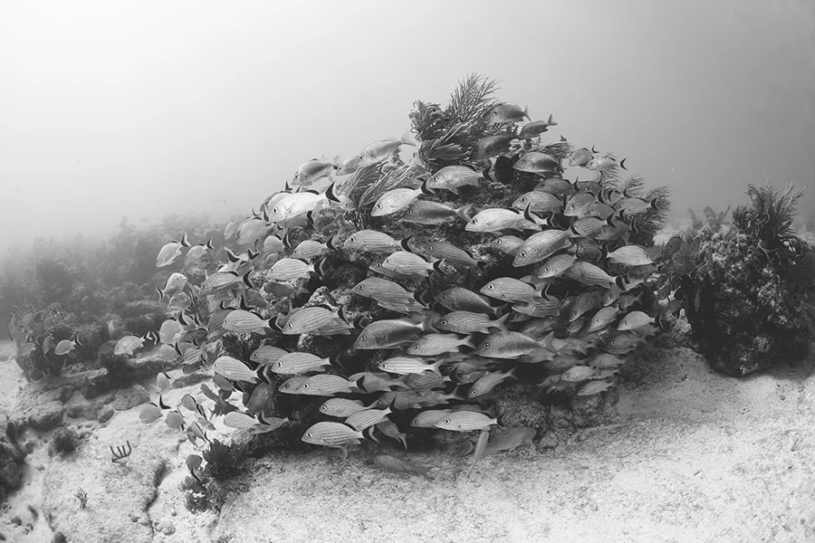 thecompasspointshere-flkeys_017.jpg