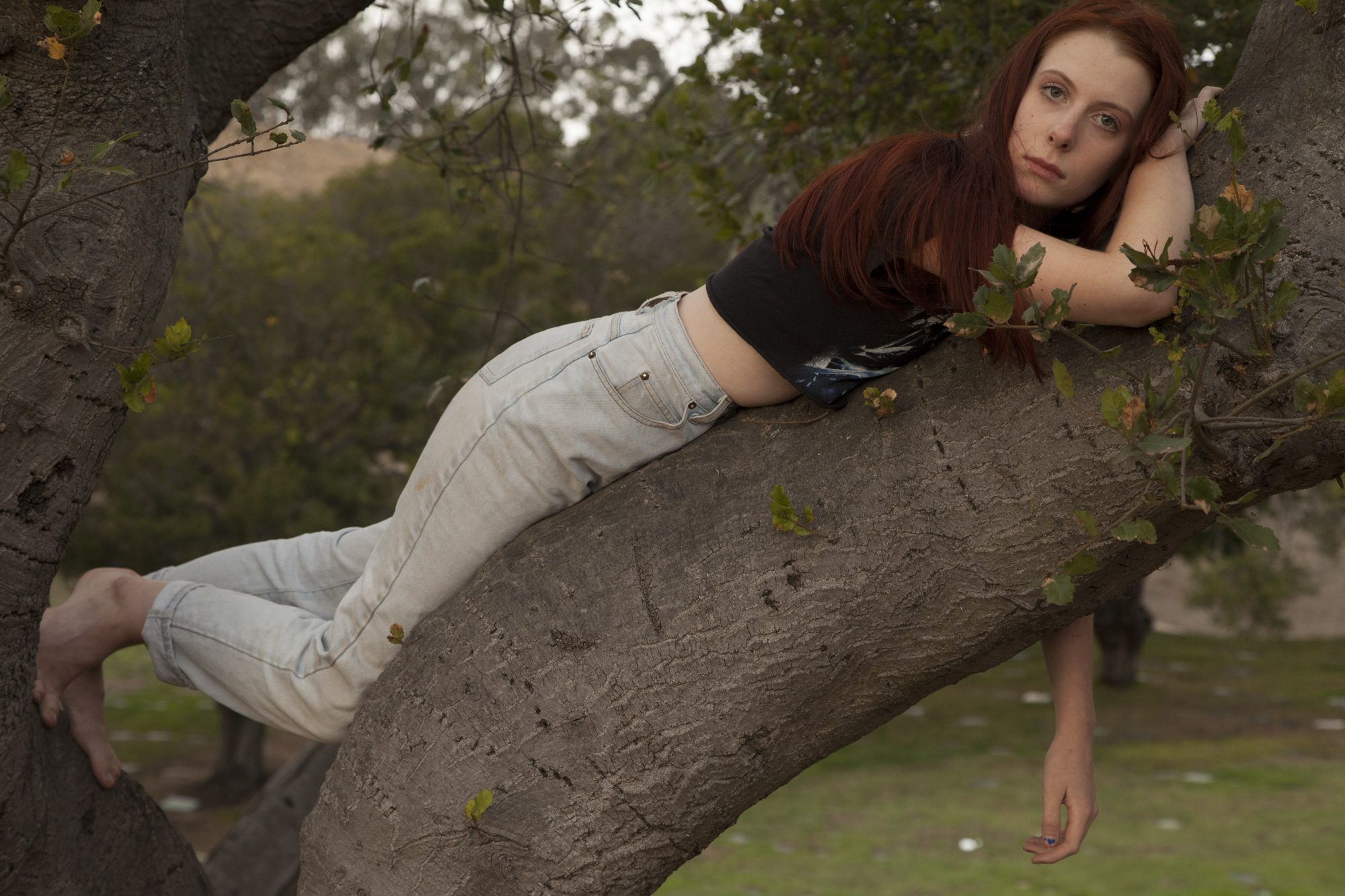 8_kate tree.jpg