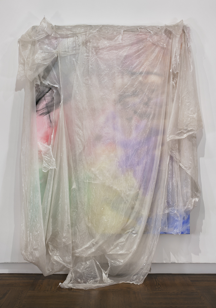 David Hammons