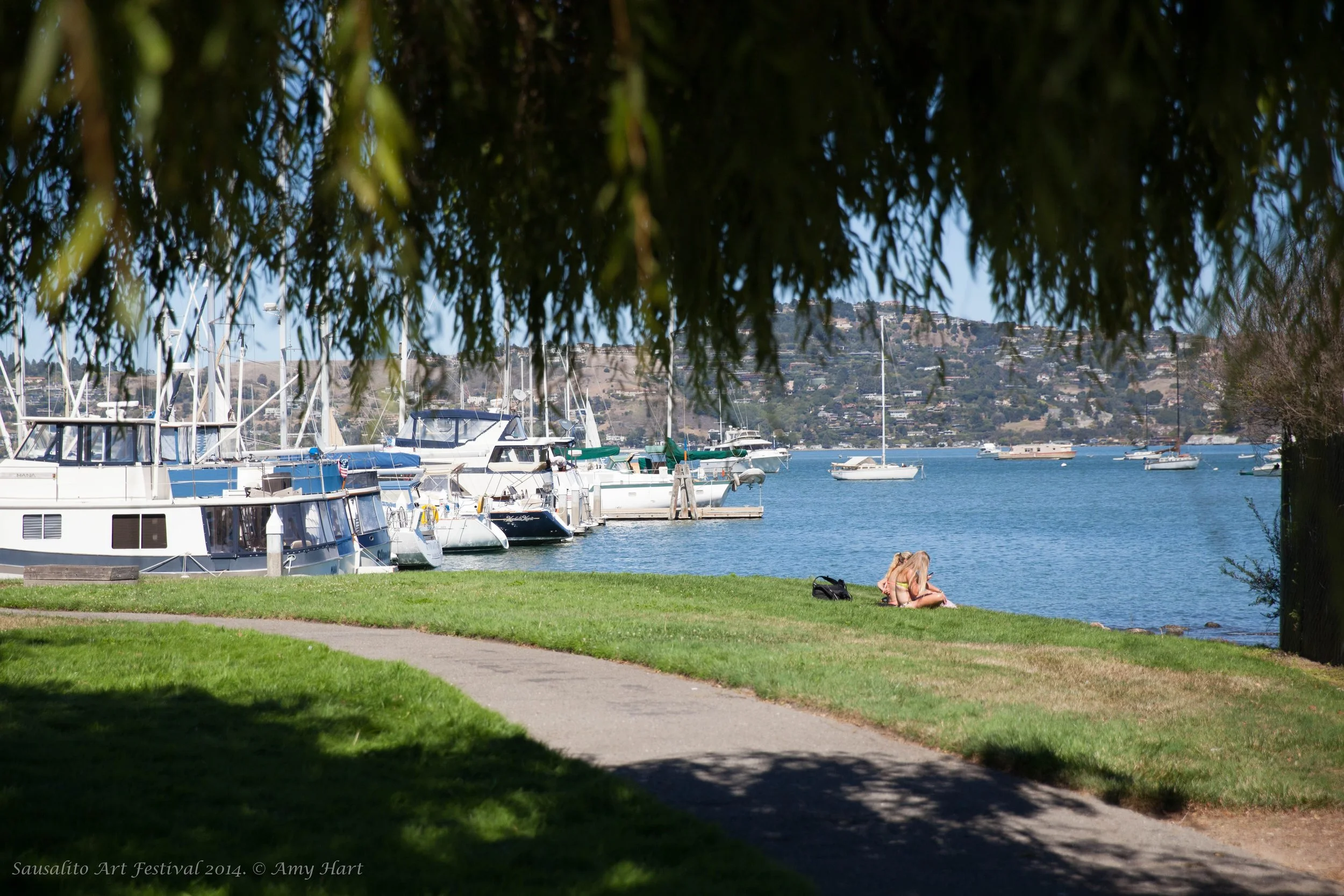 Press Page โ Sausalito Art Festival