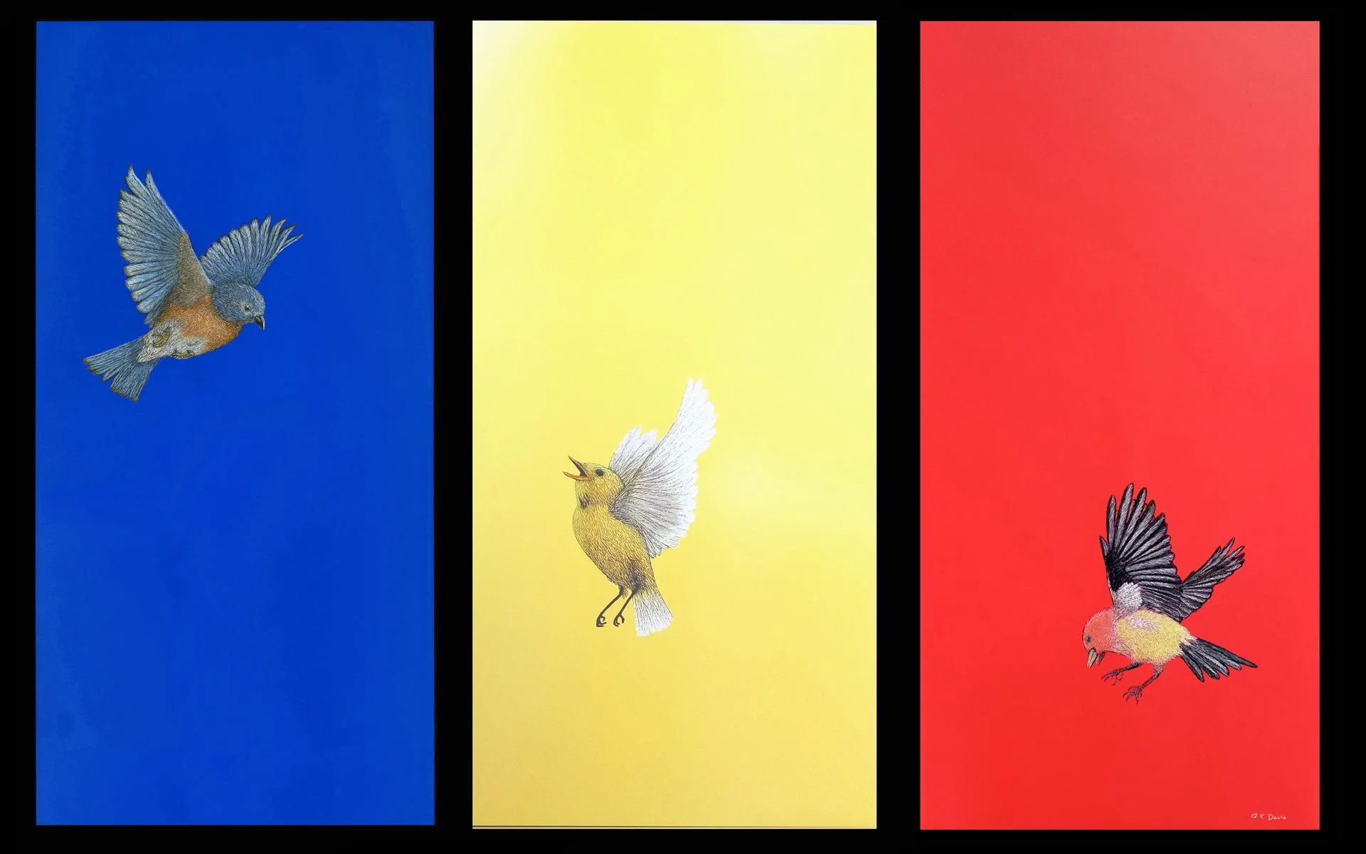 Anne Davis: Primary Colors