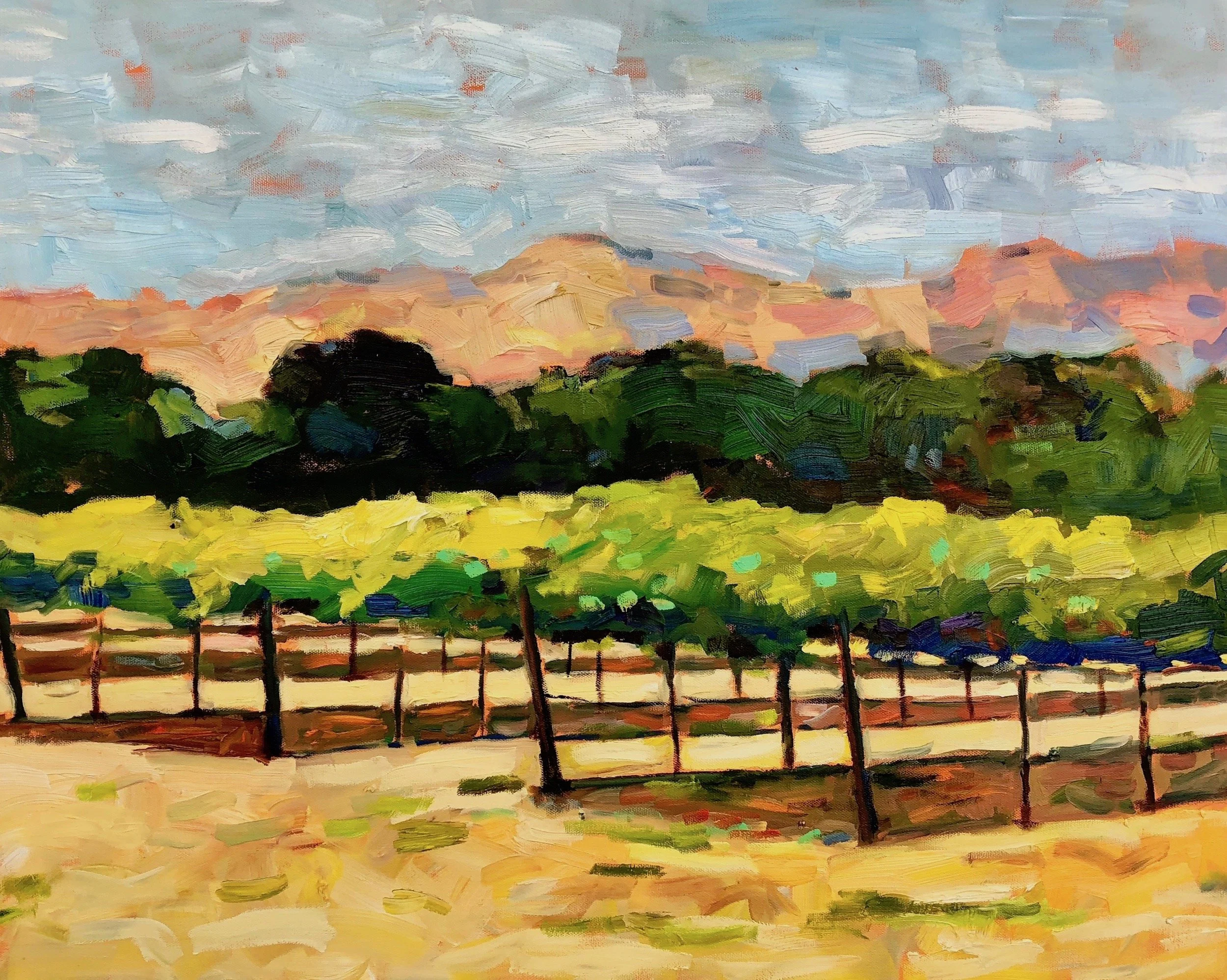 J Scott Cilmi: Calistoga Vineyard