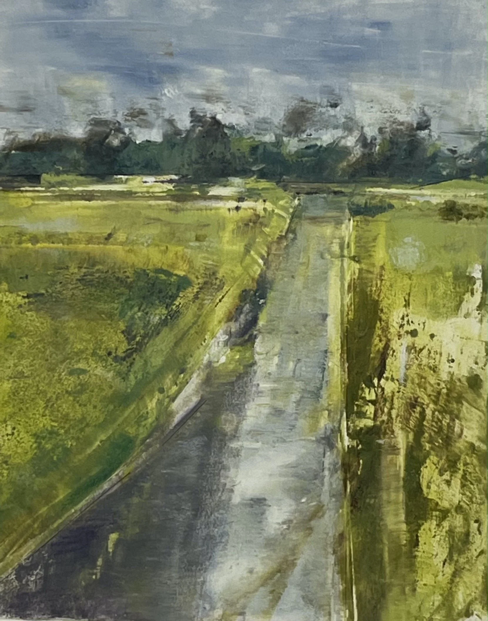 Mary Lee Rybar: Long Road Home