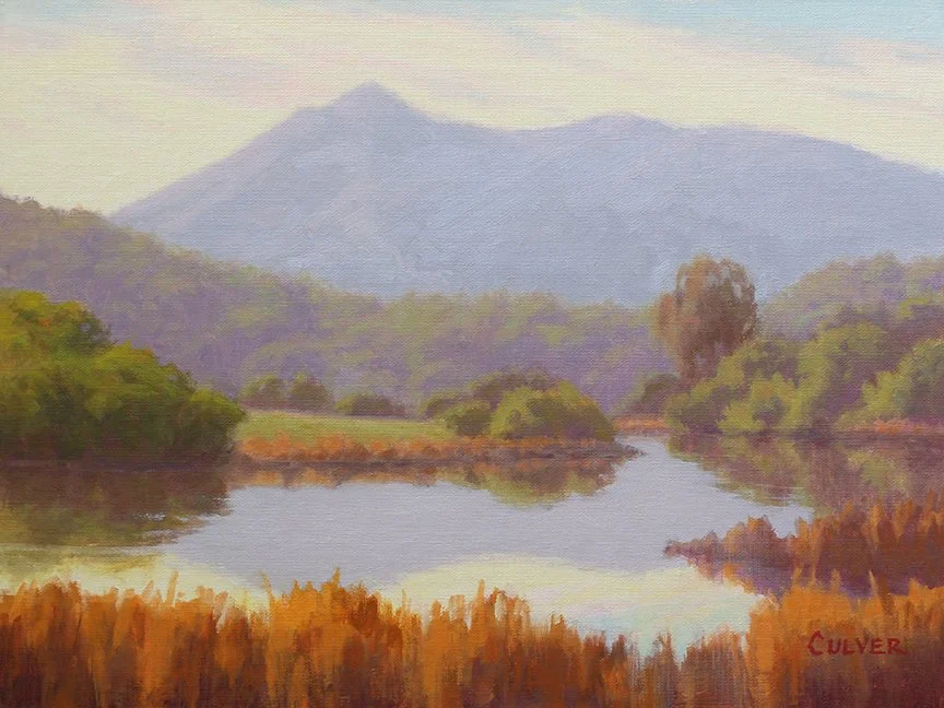 Laura Culver: Las Gallinas Wetlands