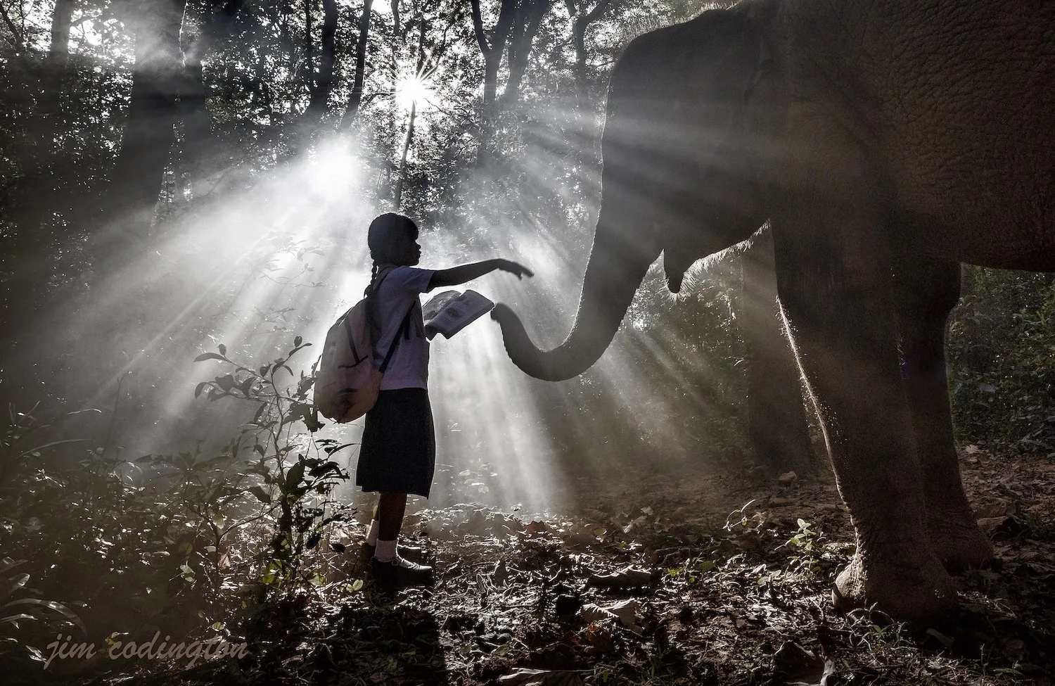 Jim Codington_img_4956.jpeg