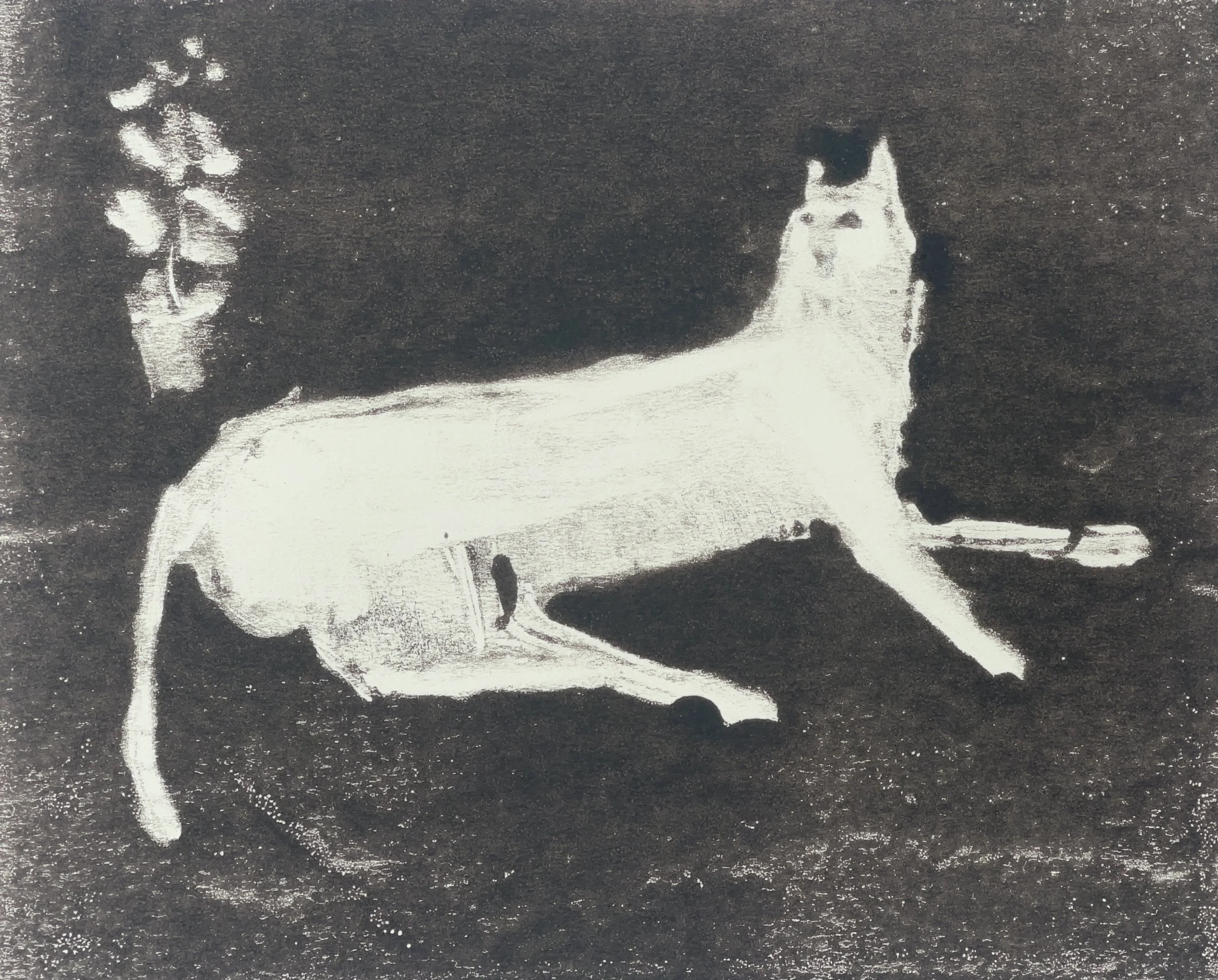 001_Cat_Ghost.jpg