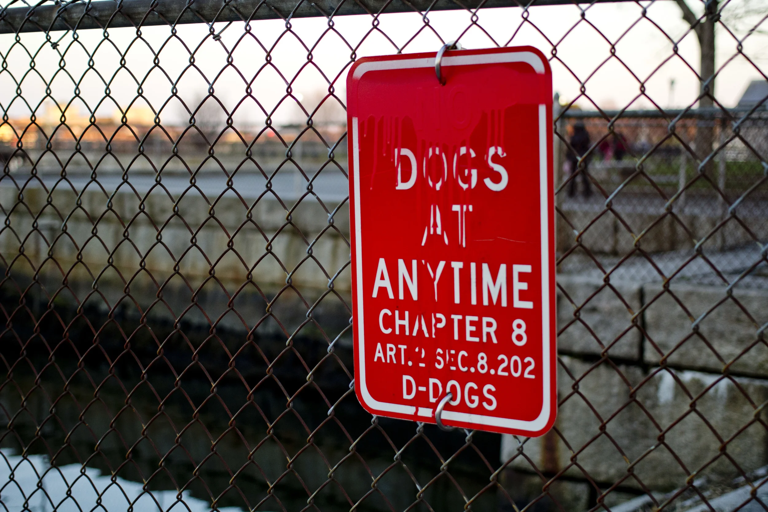 DogsIMG_2218.jpg