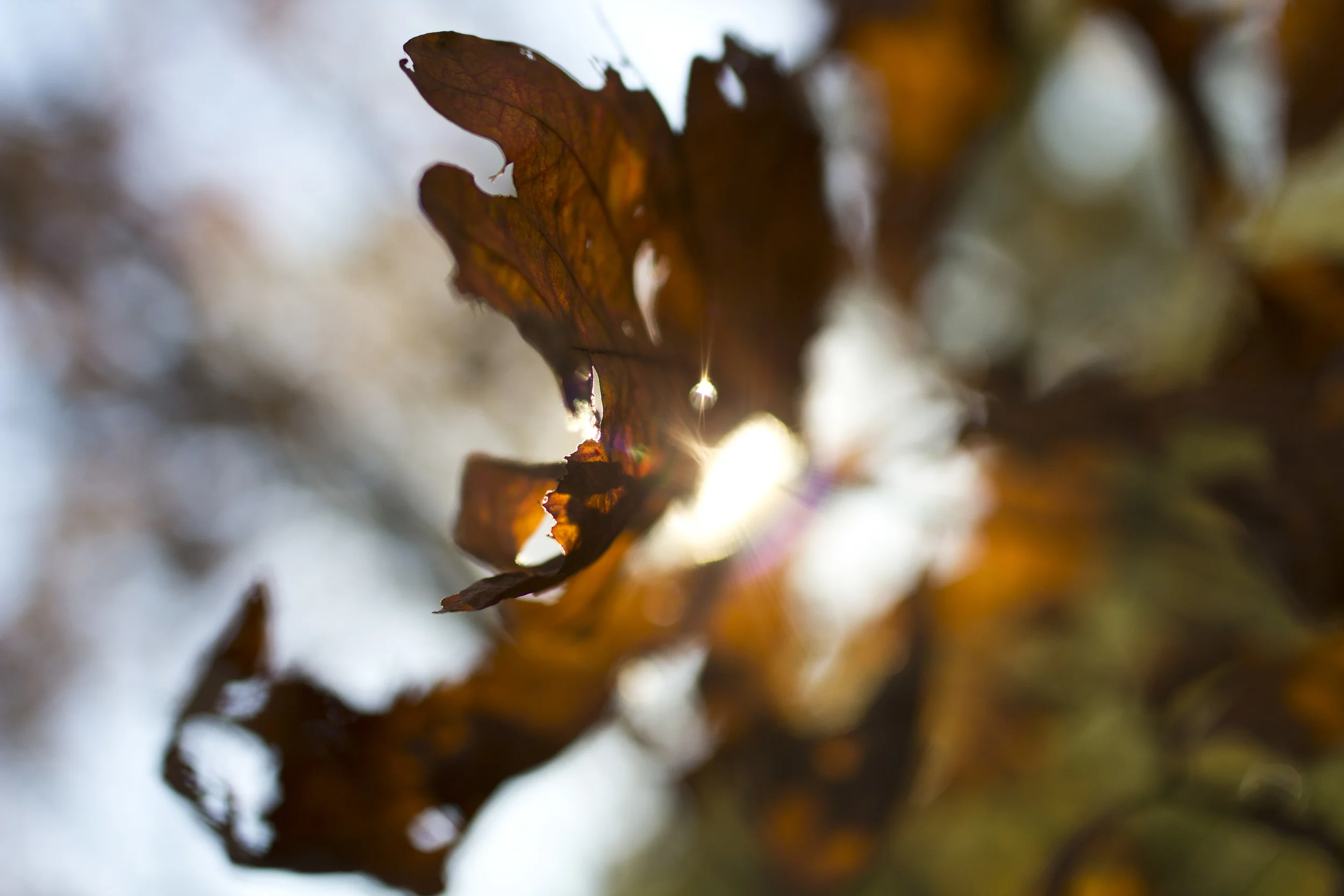 Autumn in New England