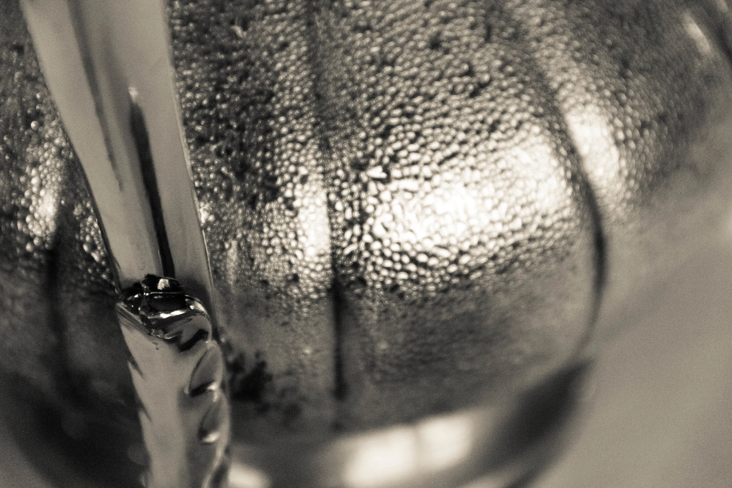 Pitcher of Water