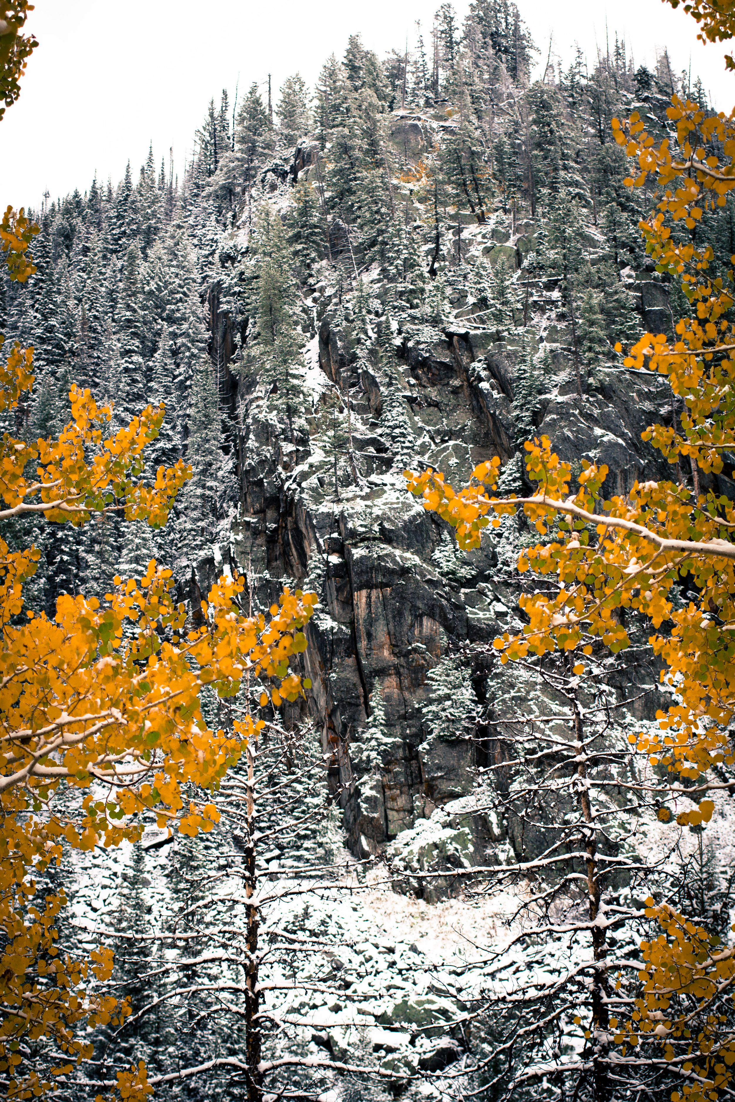 Steamboat Springs, CO - 2014